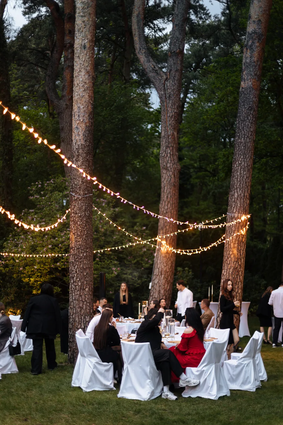 Guests at tables in the garden under string lights among the pines in the evening